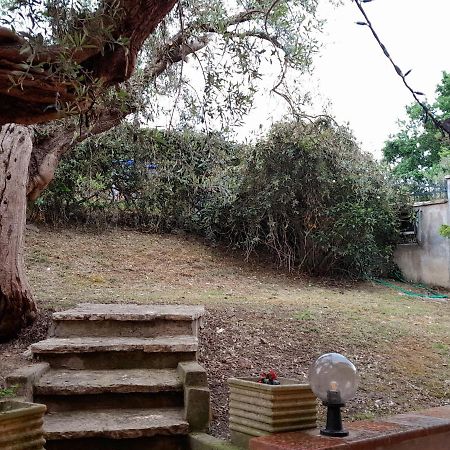 I Gufetti 2 Daire San Savino  Dış mekan fotoğraf